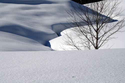 snow snow landscape sparkle