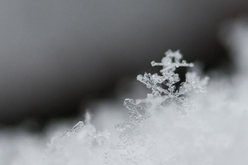 snow snowflake macro