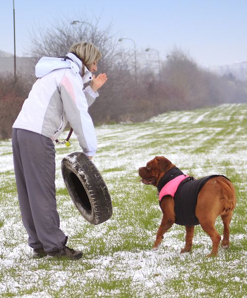 snow dog bordeaux