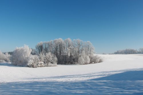 snow winter landscape