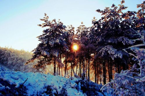 snow winter sunrise