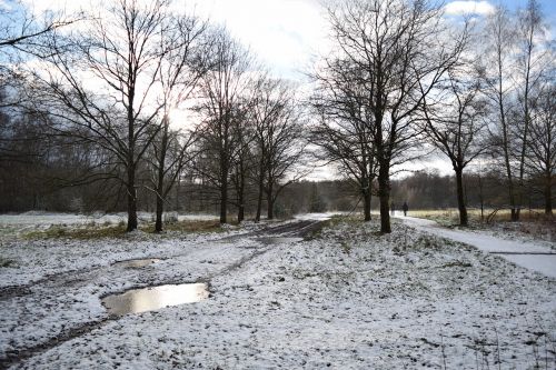 snow landscape winter