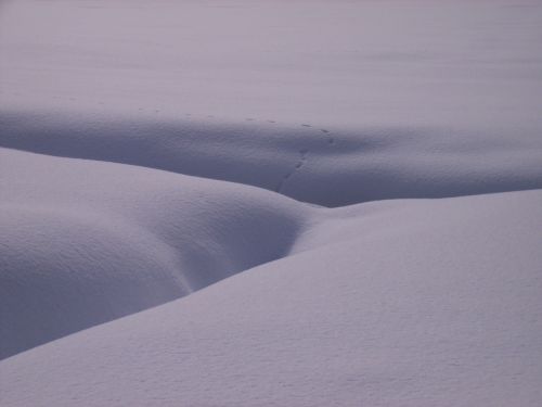 snow terrain snow landscape