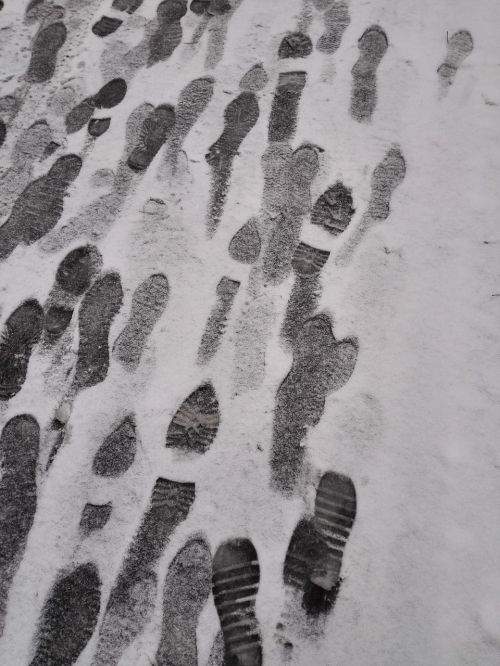 snow footprints black and white