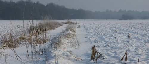 snow winter landscape helvoirt