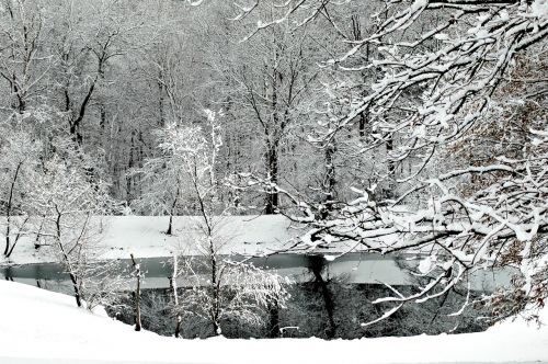 snow lake nature