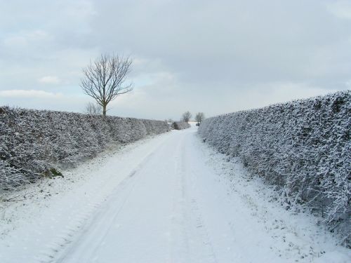 snow lane road