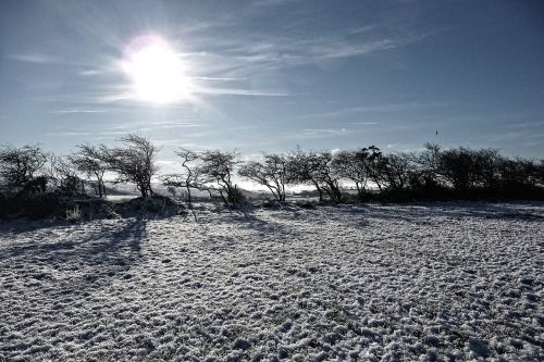 snow frost christmas