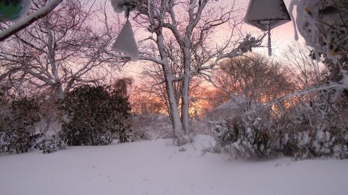 snow sunset winter