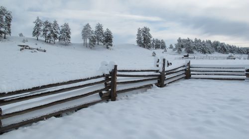 snow fence winter