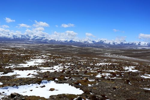 snow grassland blue sky