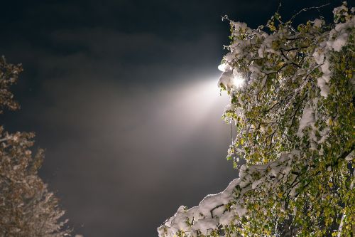 snow lamppost night