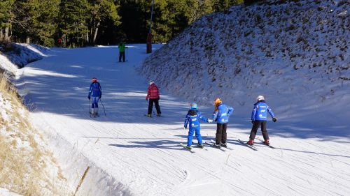 snow skiers ski