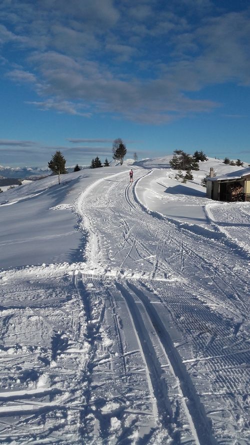 snow track sci