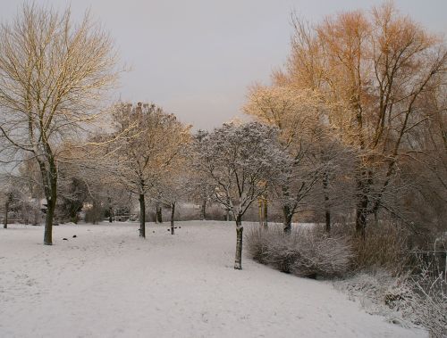 snow winter park