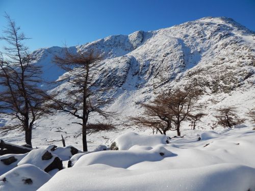 snow mountain trees