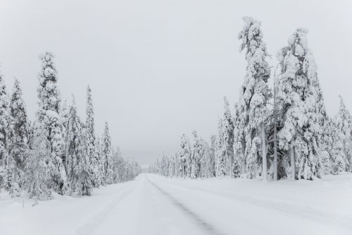 snow winter polar night