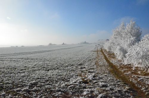 snow sun winter