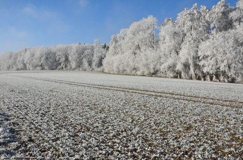 snow sun winter