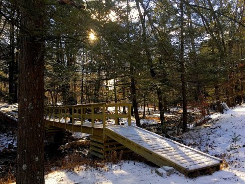 snow bridge forest