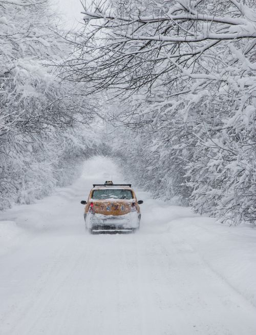 snow white car