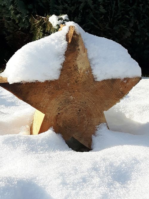 snow star winter