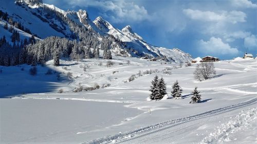 snow landscape winter