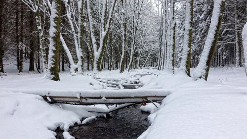 snow white winter landscape