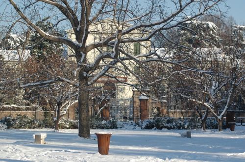 snow park winter landscape