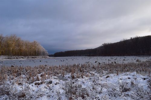 snow trees lake