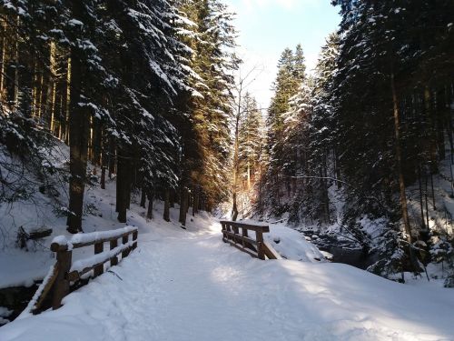 snow winter landscape