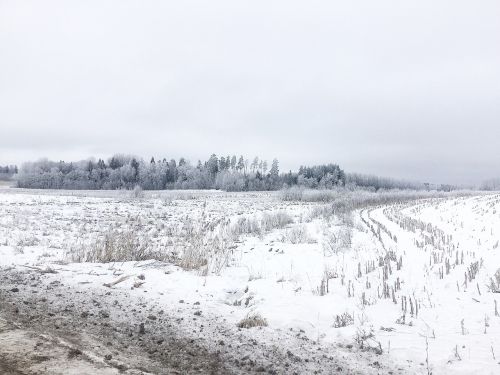 snow landscape winter