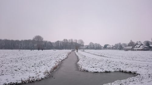 snow pasture freezing