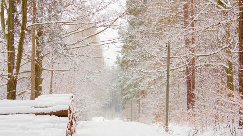 snow landscape away