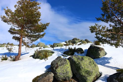 snow winter landscape