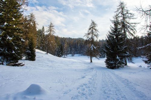 snow landscape morgenstimmung