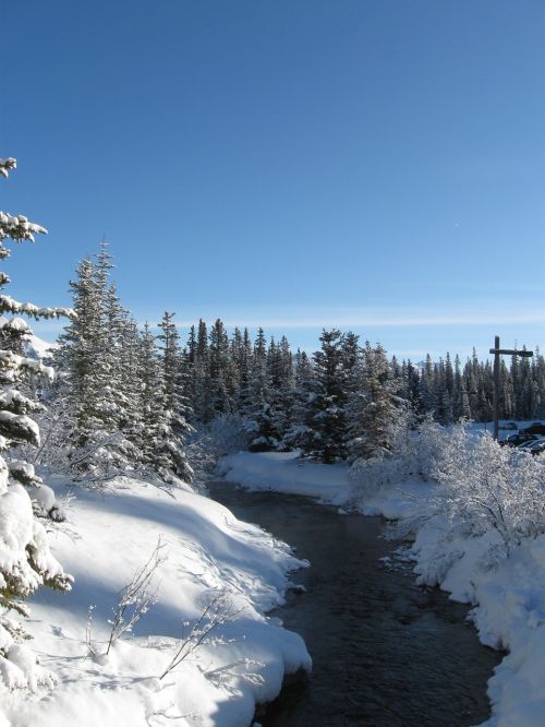 snow tree stream