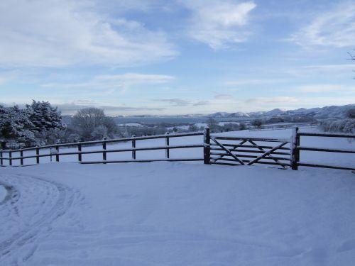 snow fence field