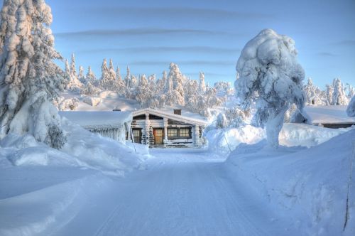 snow winter landscape