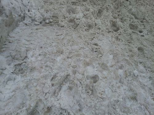 snow dirty footprints