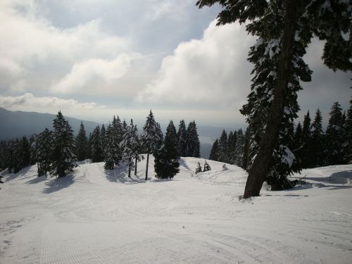 snow ski hill ski run