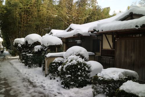 snow lanshan log cabin