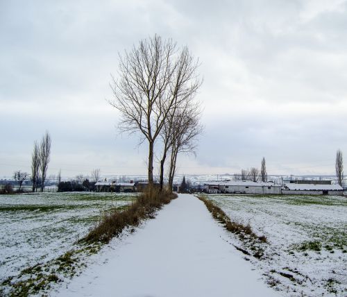 snow winter day