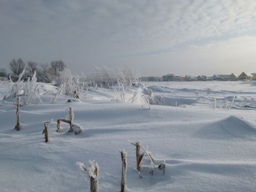 snow landscape cold