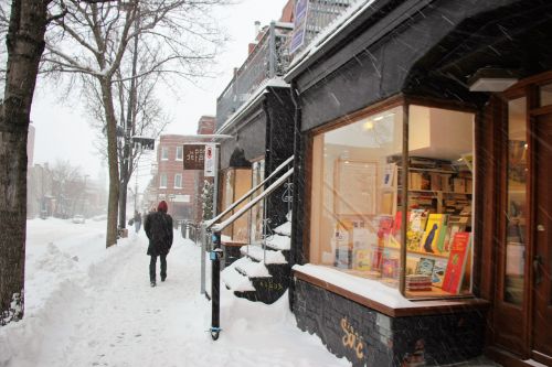 snow winter store