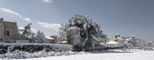 snow nevada winter