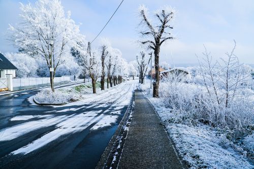 snow winter white