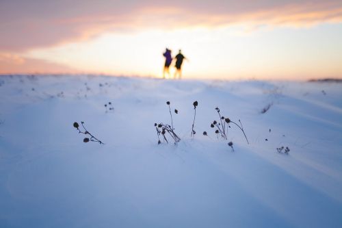 snow winter mountain