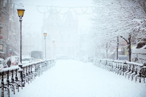 snow winter white