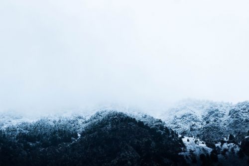 snow winter trees